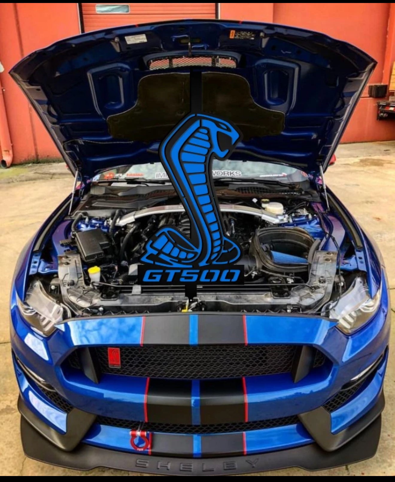 Mustang Shelby Hood Prop GT500/GT350