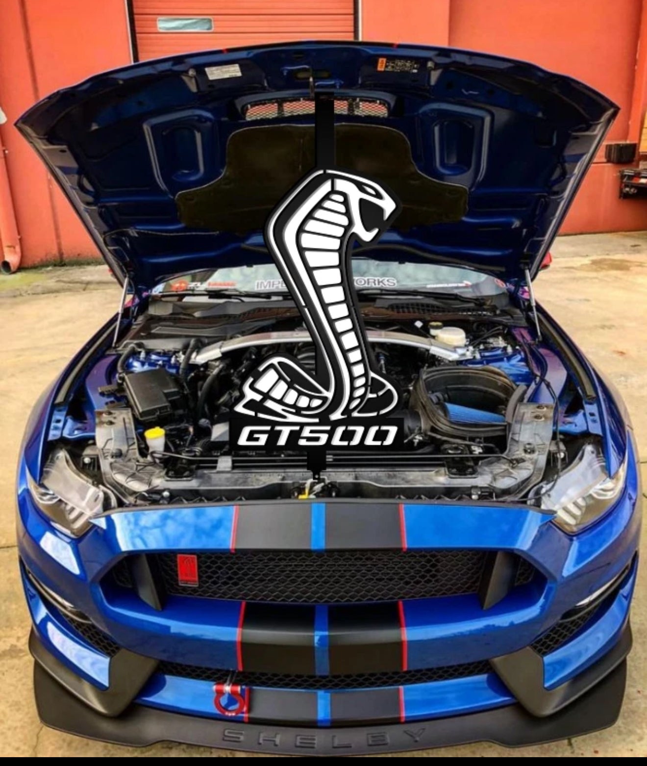 Mustang Shelby Hood Prop GT500/GT350