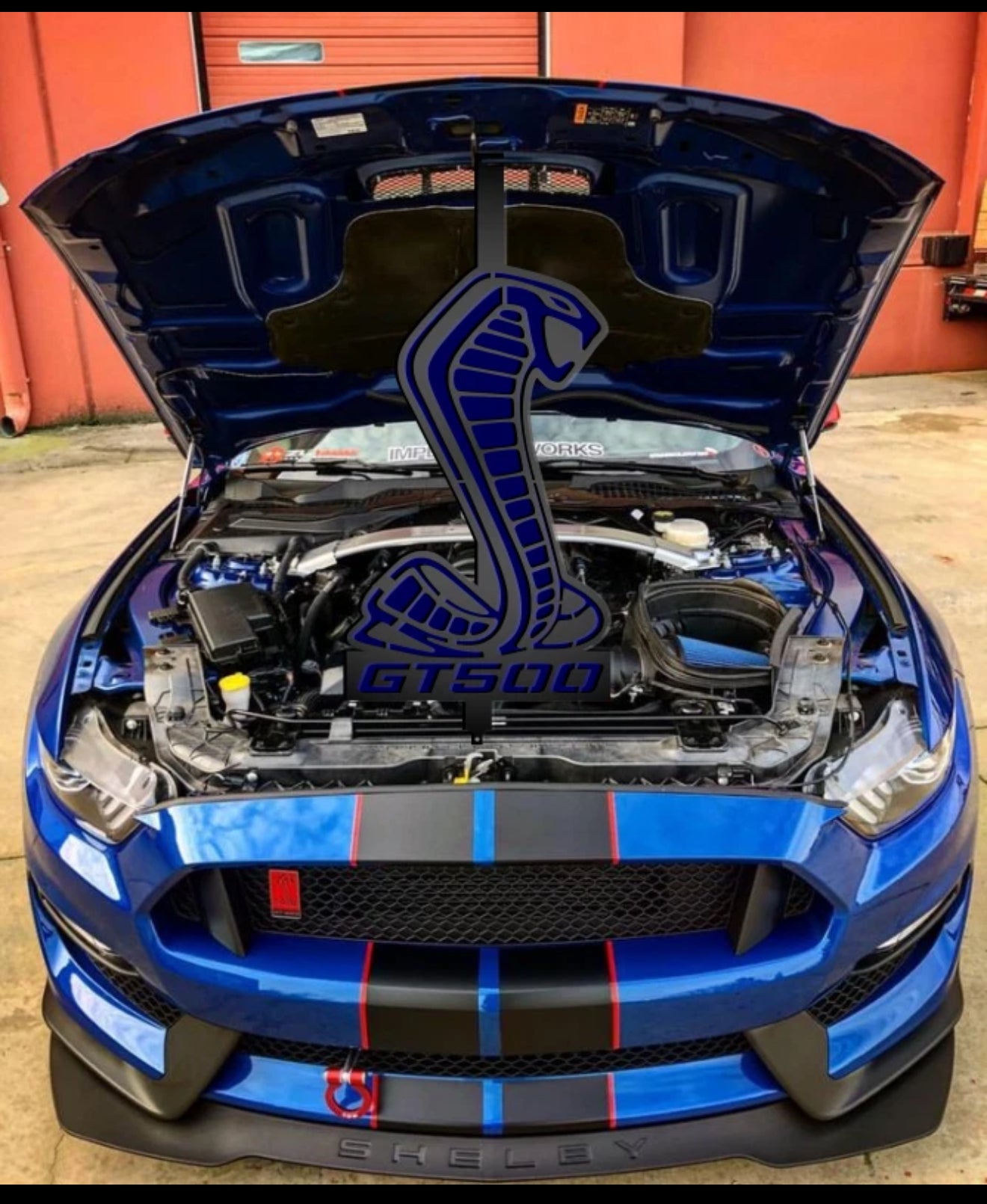 Mustang Shelby Hood Prop GT500/GT350