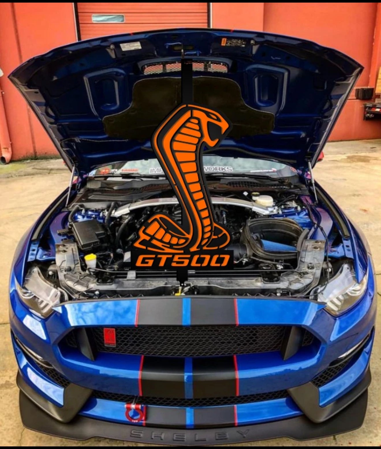 Mustang Shelby Hood Prop GT500/GT350