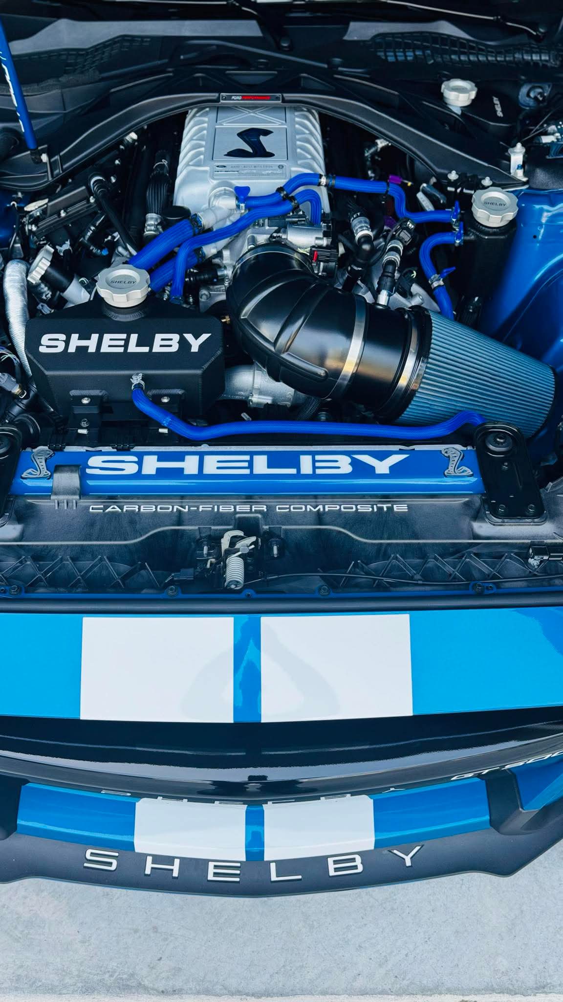 VELOCITY BLUE GT500/GT350 RADIATOR PLATE
