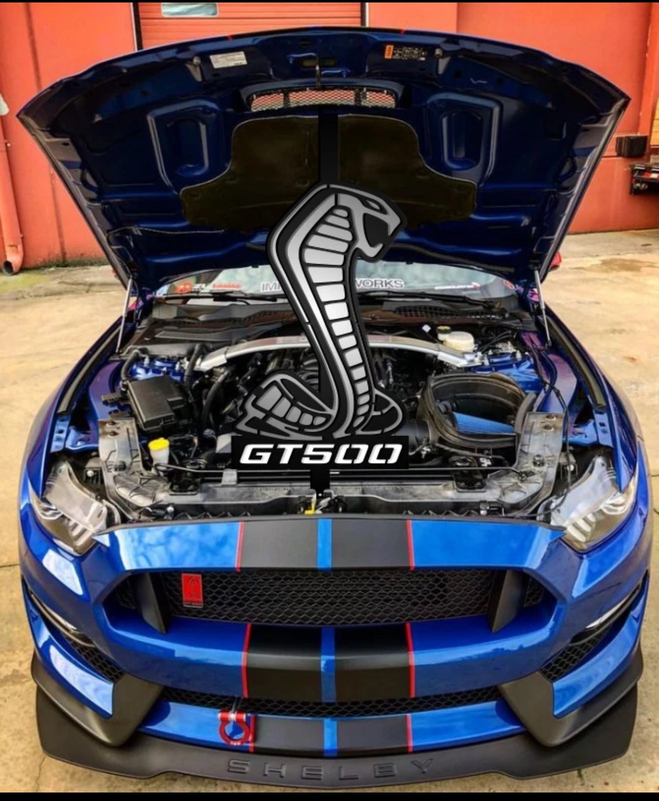 Mustang Shelby Hood Prop GT500/GT350