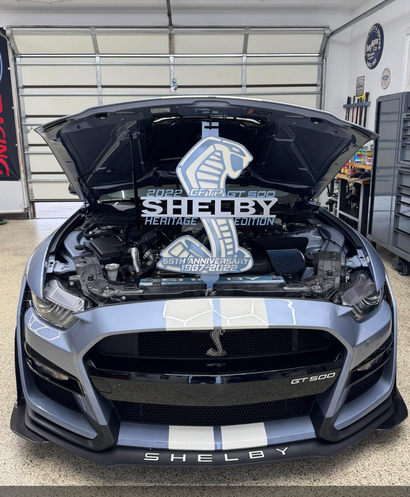 Shelby heritage edition Cftp gt500 hood prop, brittany blue