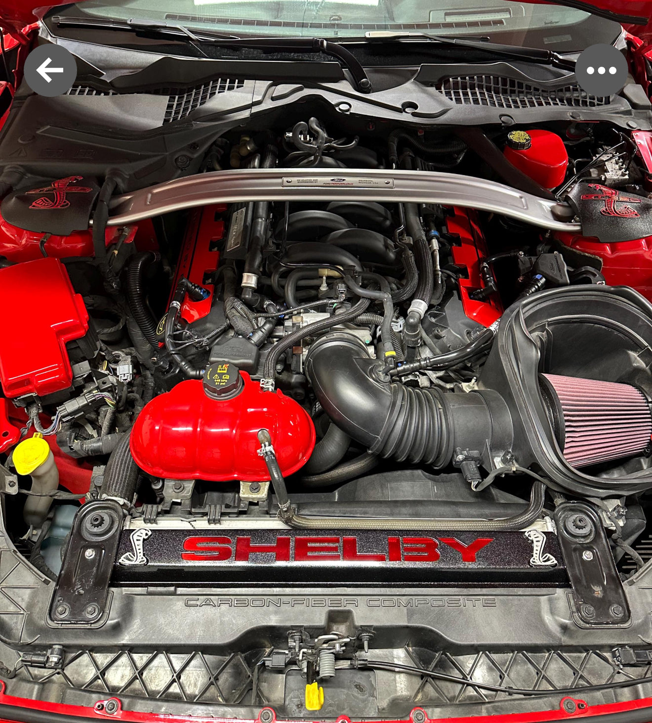 RED METALLIC EDITION GT500/GT350 RADIATOR PLATE – USHELBYSIGNS