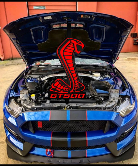 Mustang Shelby Hood Prop GT500/GT350