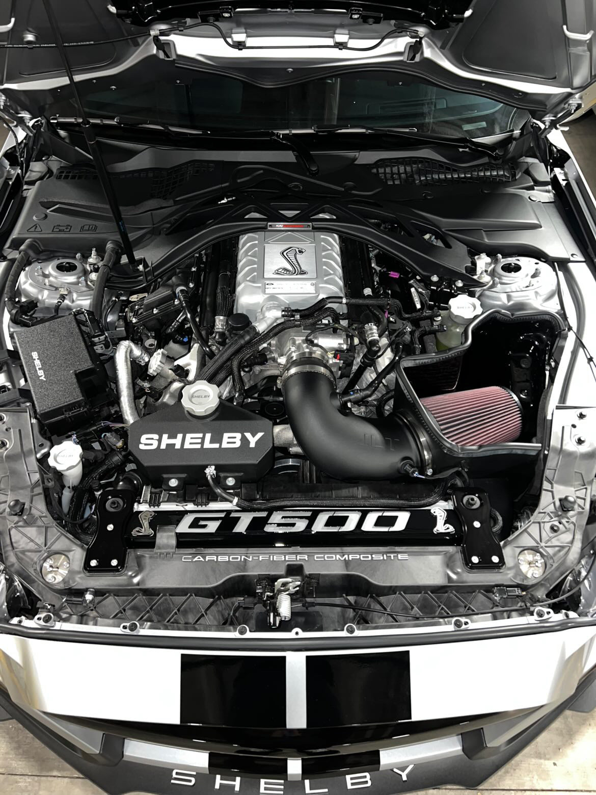 GT500 BLACK / SILVER RADIATOR PLATE – USHELBYSIGNS