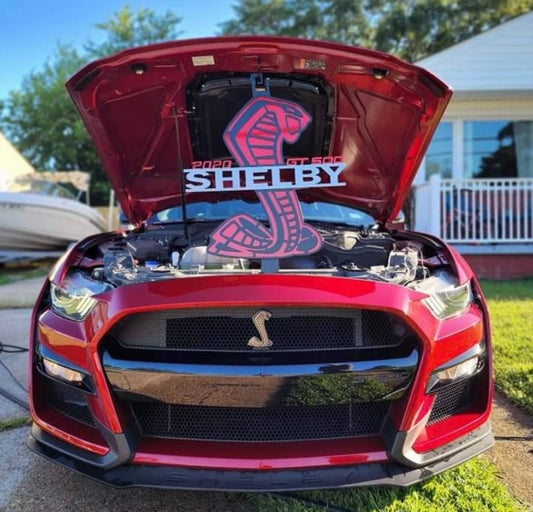 RAPID RED SHELBY HOOD PROP