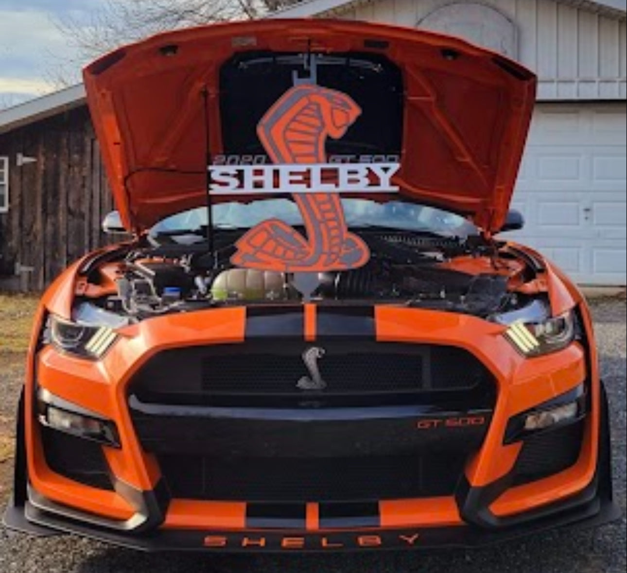 Shelby gt500 hood prop, twister orange and black