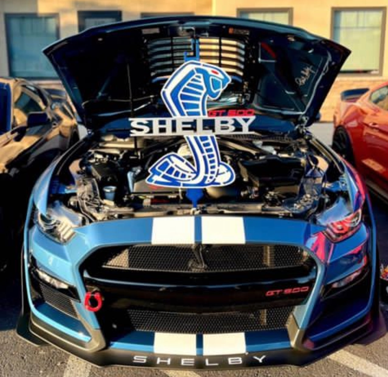 Shelby gt500 Performance blue and white hood prop