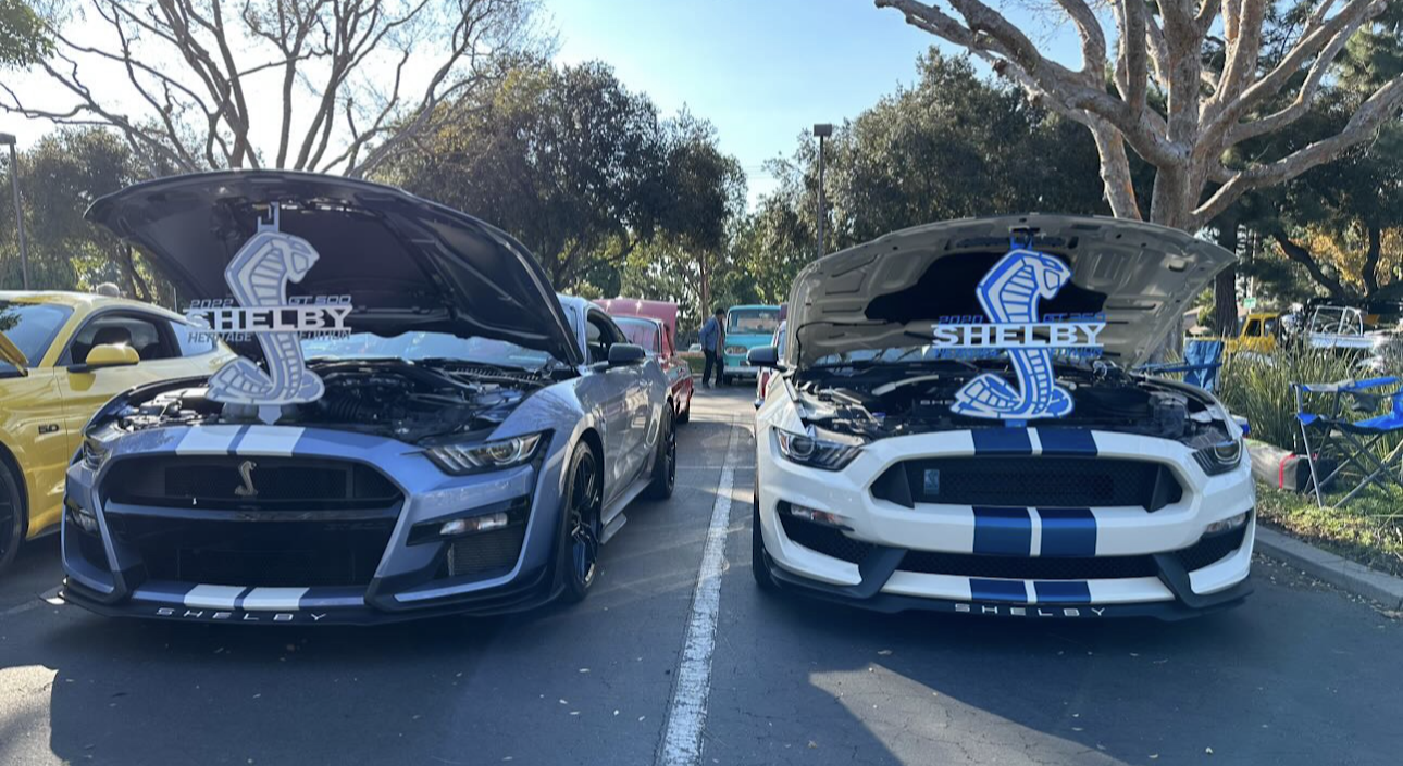 PRIME SHELBY HOOD PROP GT500/GT350 (contact us for any extra color)