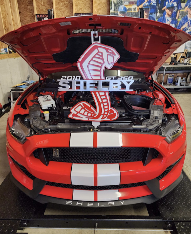 PRIME SHELBY HOOD PROP GT500/GT350 (contact us for any extra color)