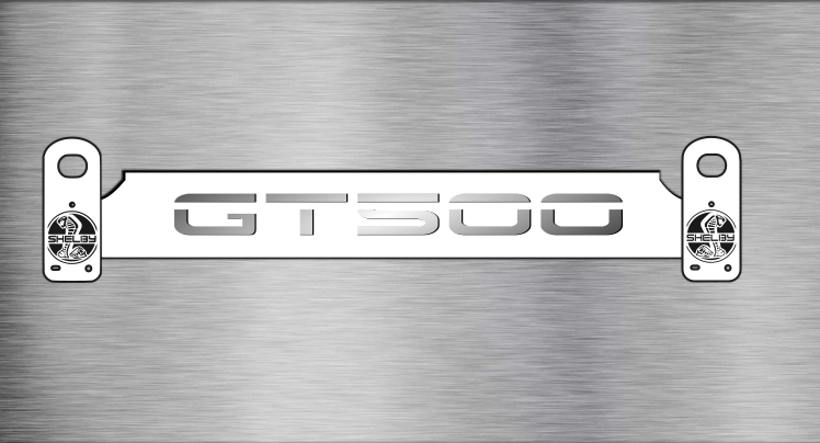 2016-2022 GT500/GT350 RADIATOR PLATE AND MOUNT FACEPLATES