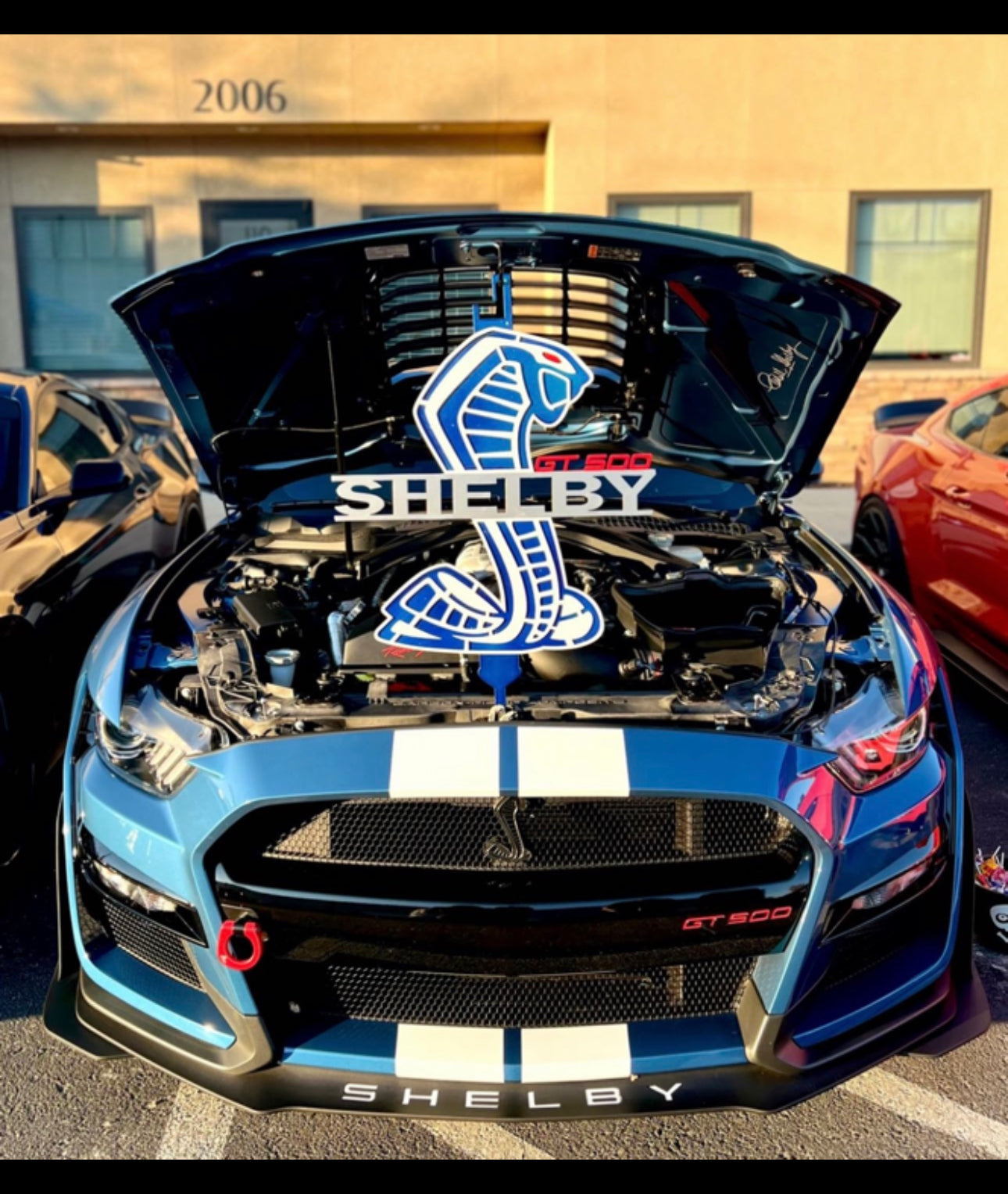 PRIME SHELBY HOOD PROP GT500/GT350 (contact us for any extra color)