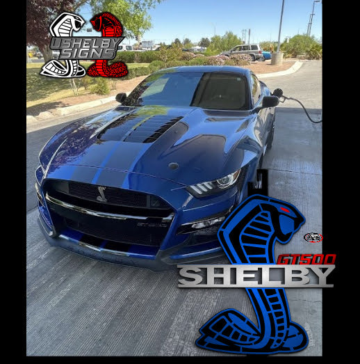 Shelby gt500 hood prop, black /atlas blue