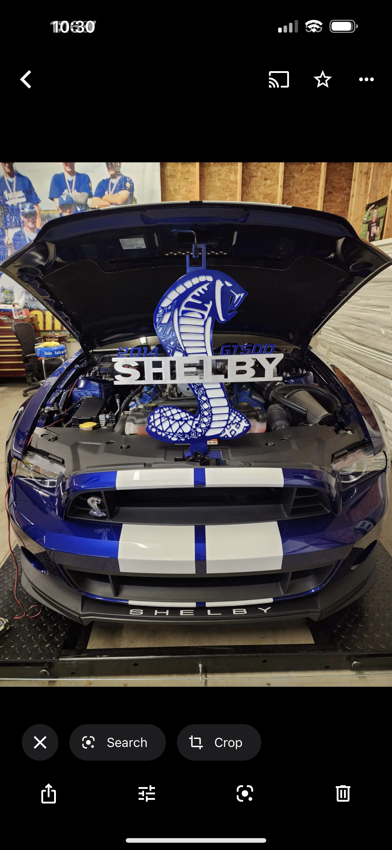 Shelby hood prop, white and black