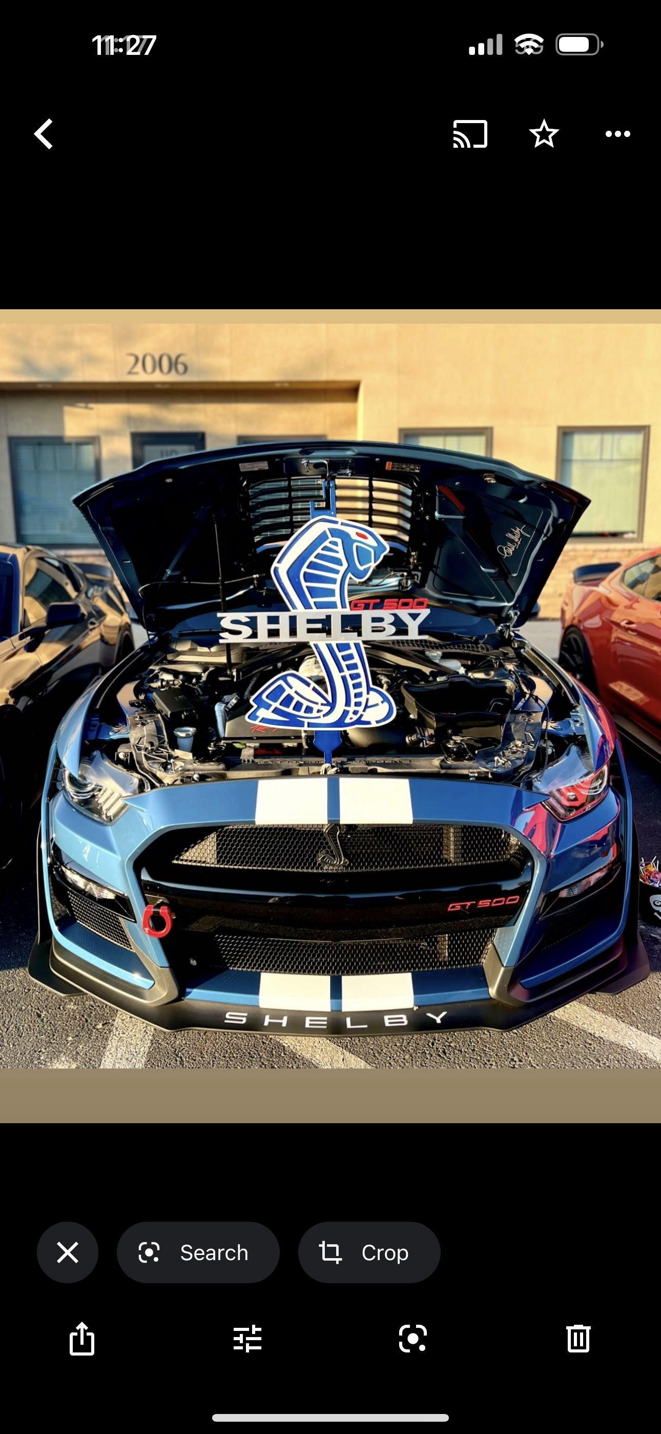 Shelby gt500 hood prop, dark blue white and red eye