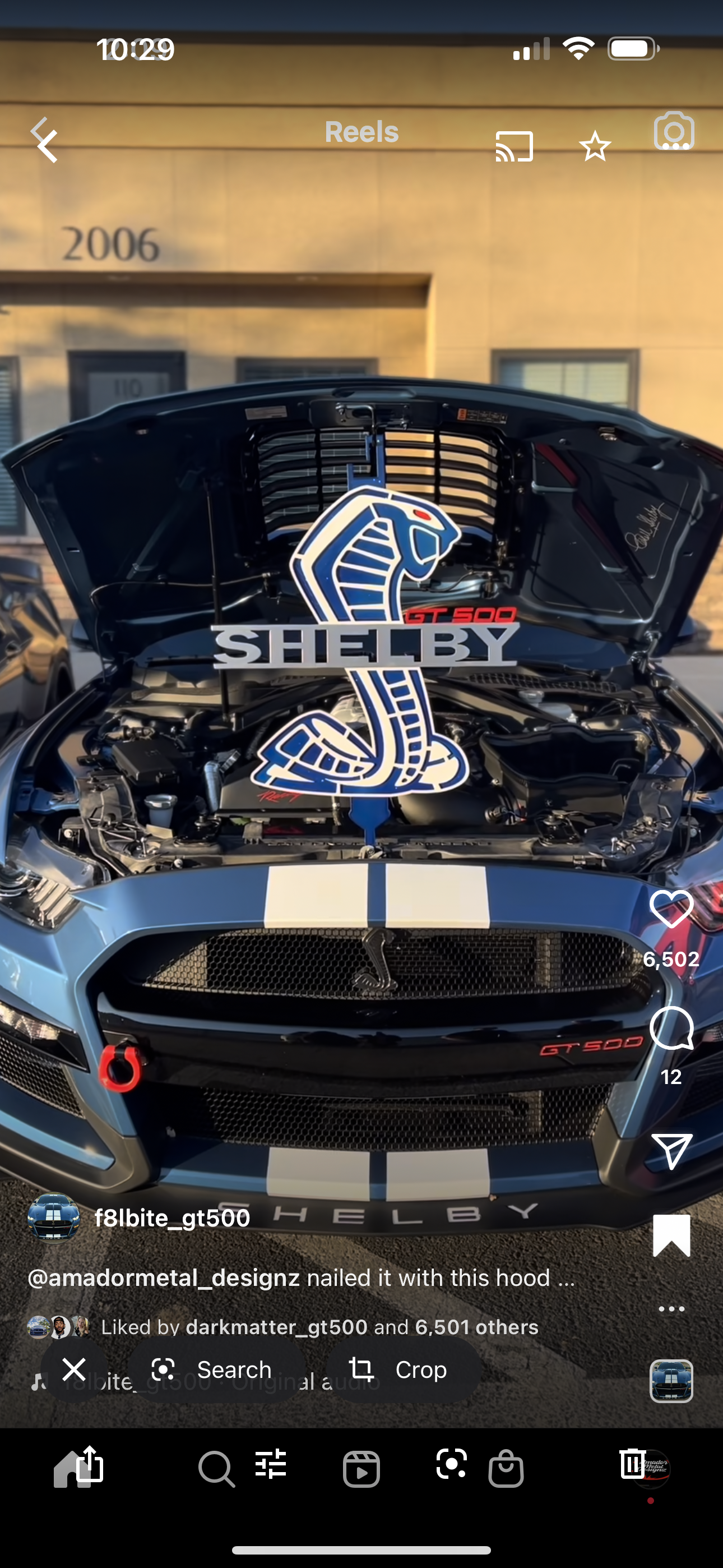 Shelby heritage edition gt350 hood prop, blue metallic