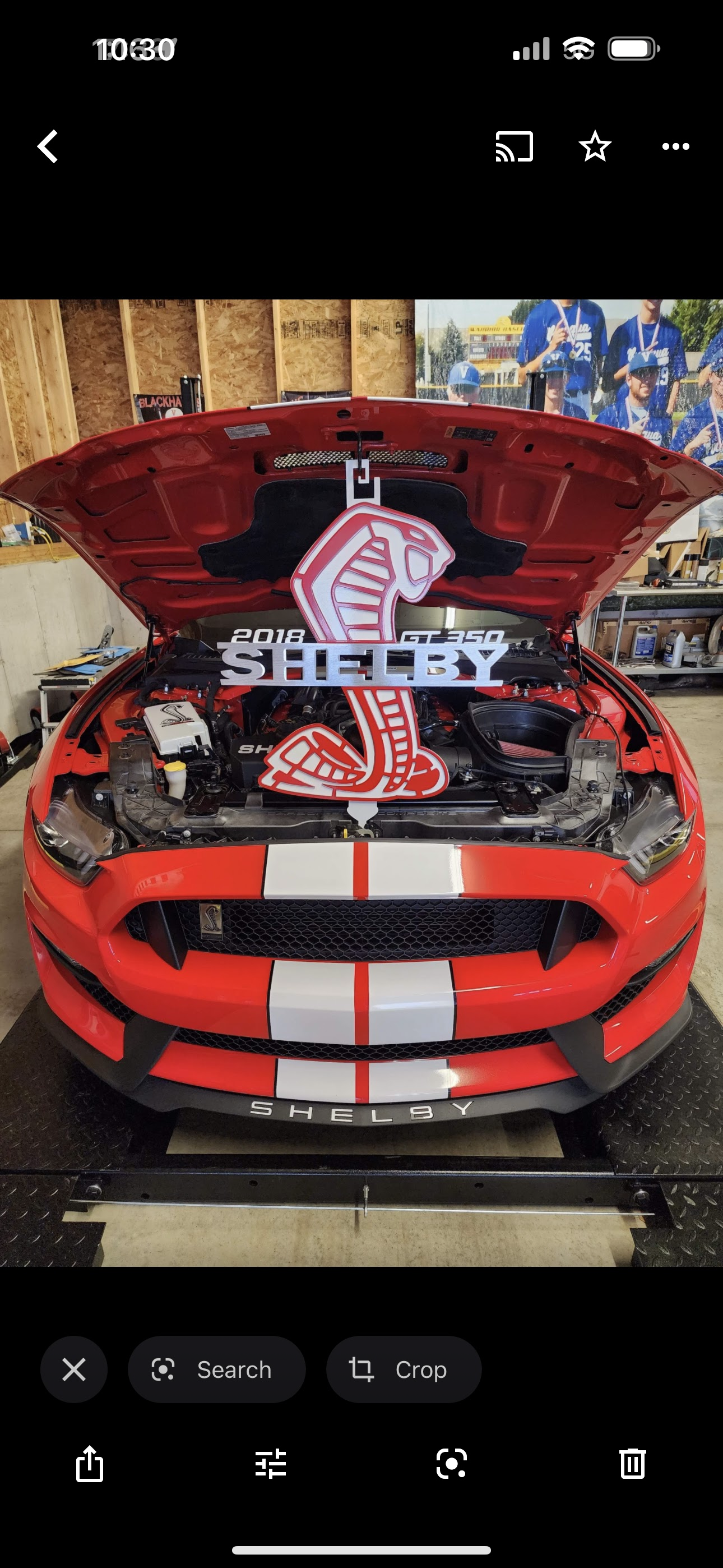 Shelby hood prop, white and black