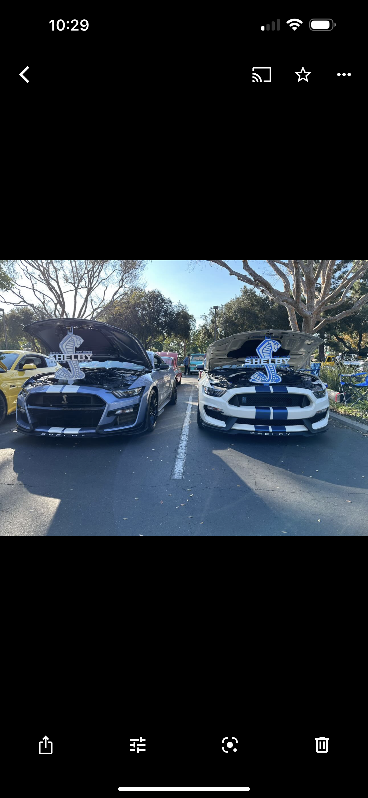 Shelby hood prop, white and black