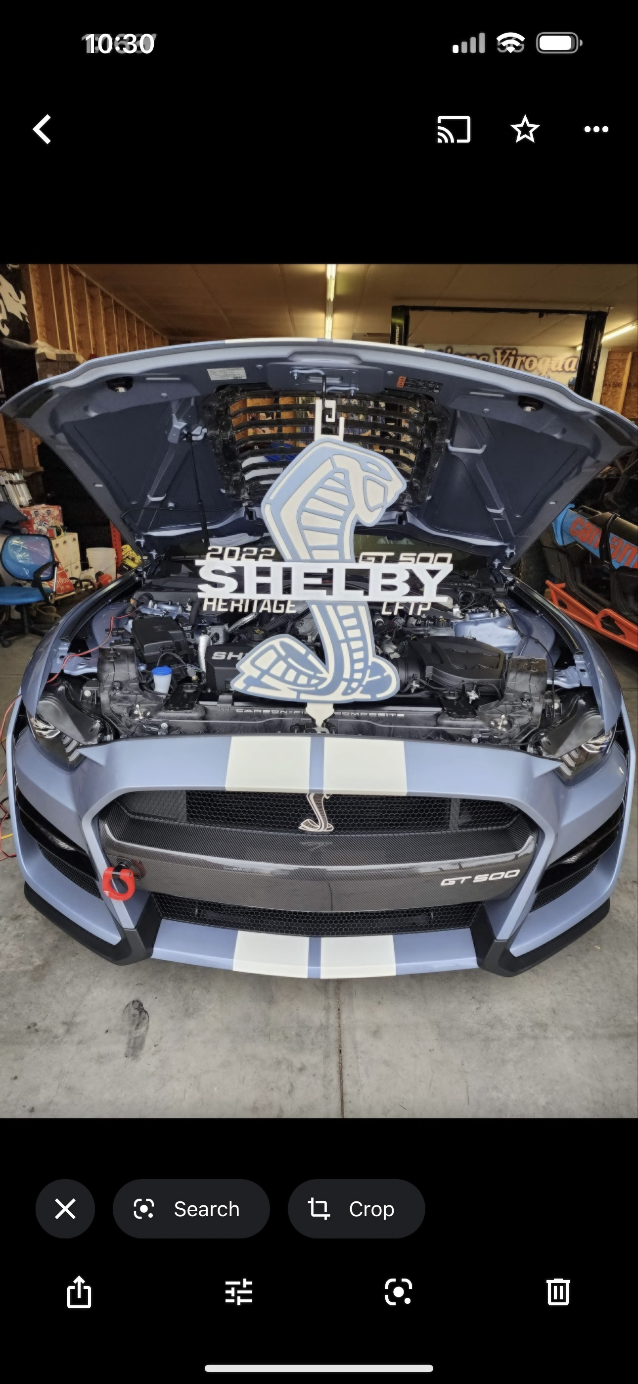 Shelby hood prop, white and black