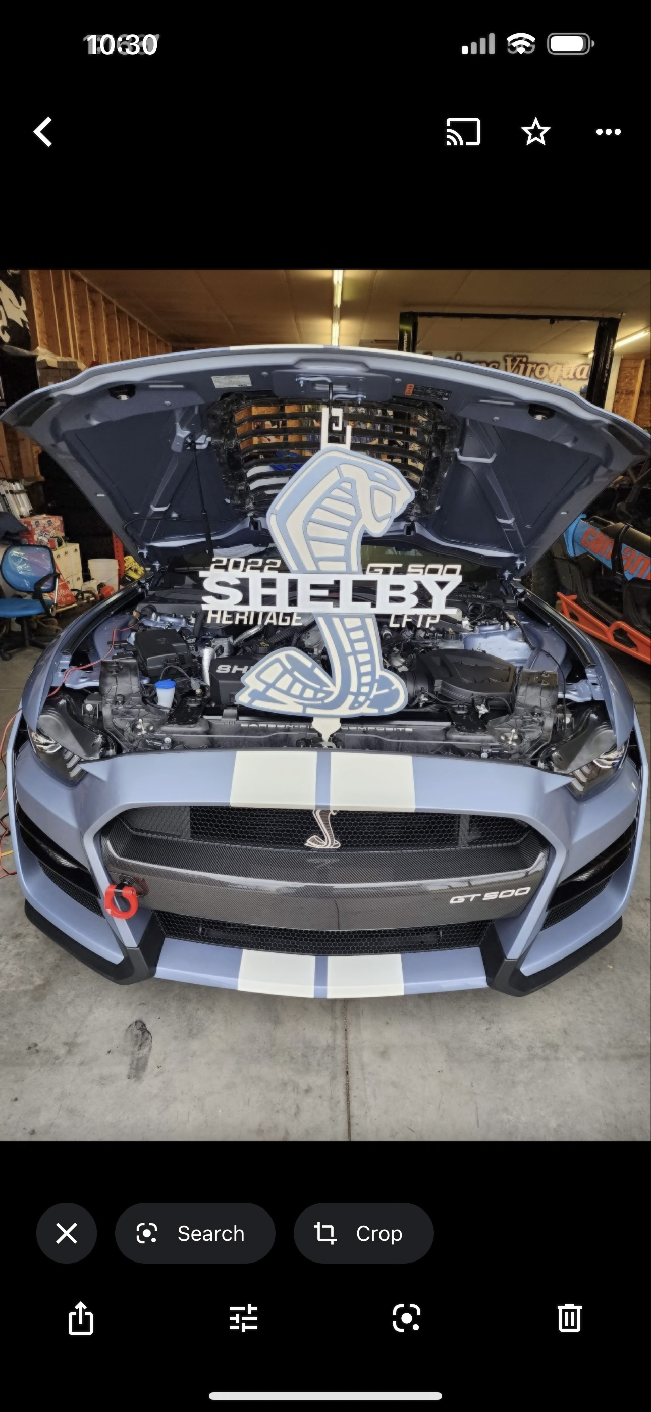Shelby heritage edition gt350 hood prop, blue metallic